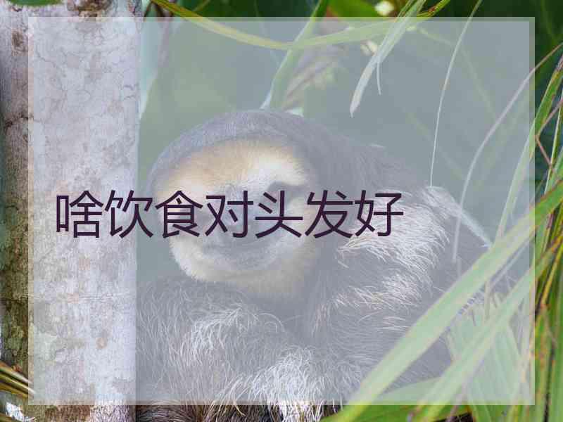 啥饮食对头发好