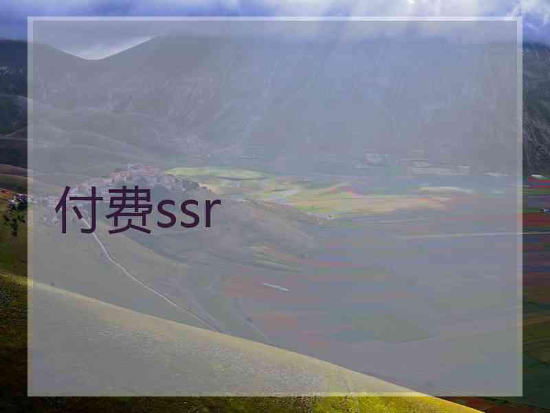 付费ssr
