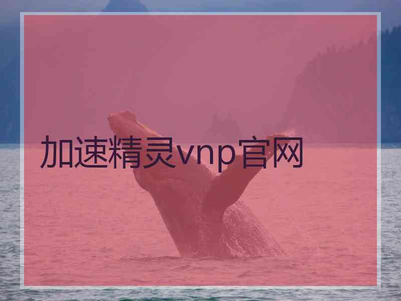 加速精灵vnp官网
