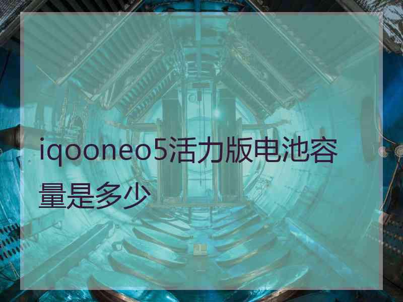 iqooneo5活力版电池容量是多少