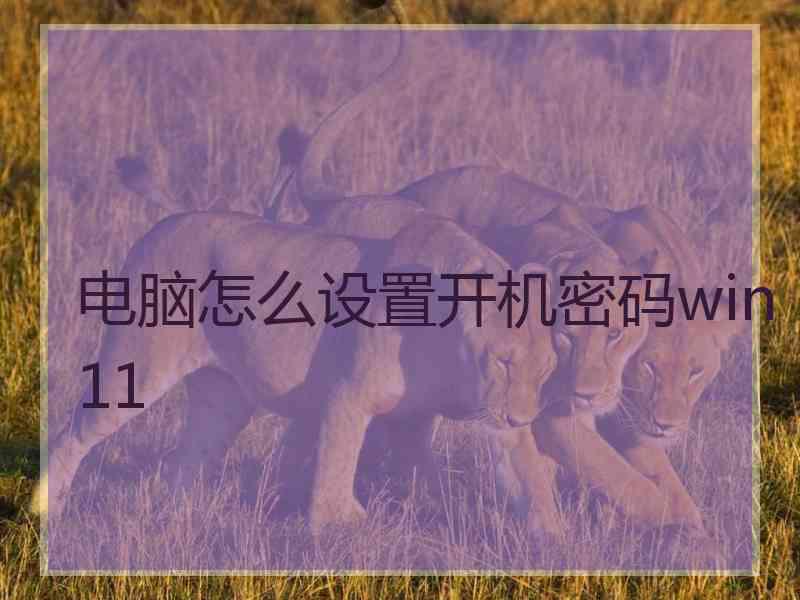 电脑怎么设置开机密码win11