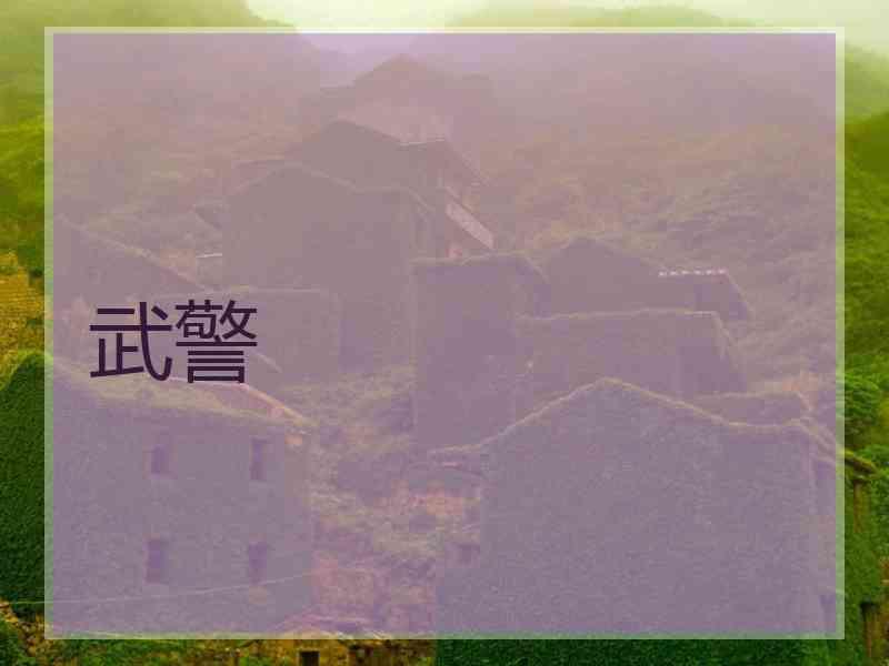武警