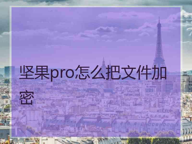坚果pro怎么把文件加密