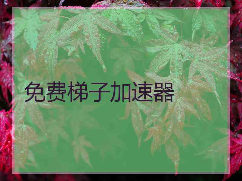 免费梯子加速器