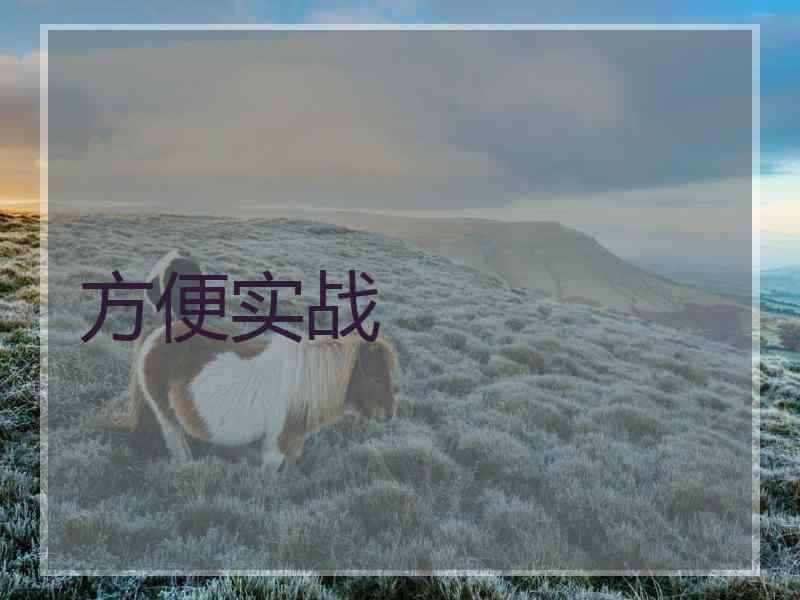 方便实战