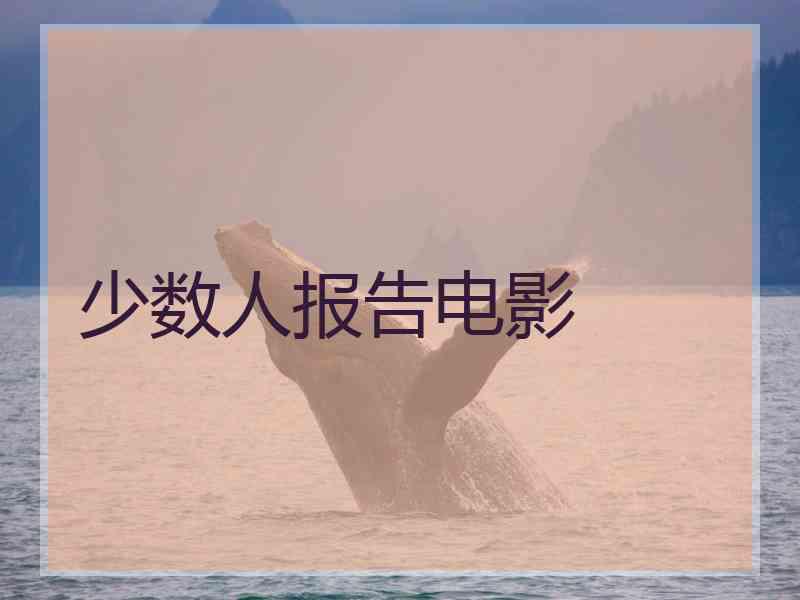 少数人报告电影