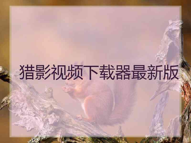 猎影视频下载器最新版