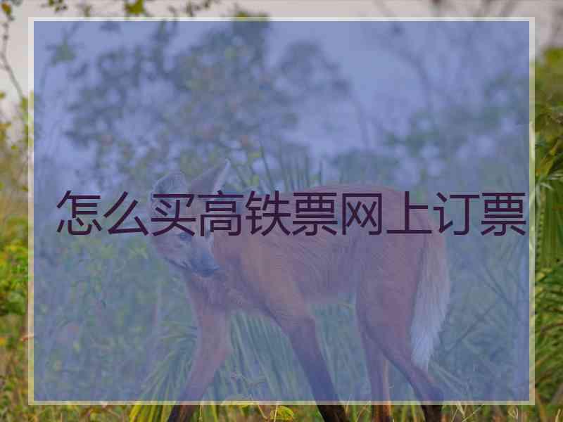 怎么买高铁票网上订票