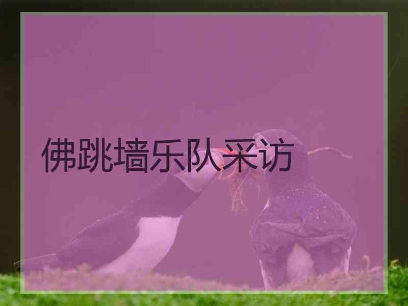 佛跳墙乐队采访