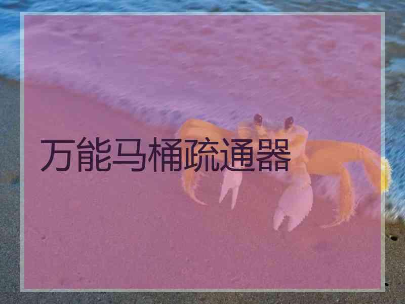 万能马桶疏通器