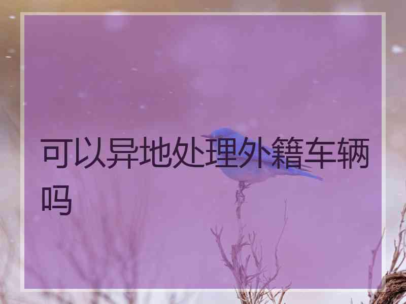 可以异地处理外籍车辆吗