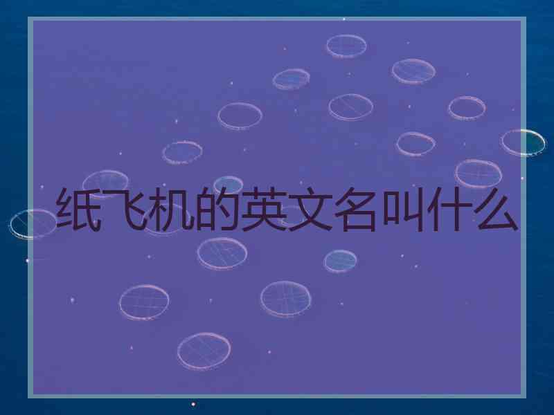 纸飞机的英文名叫什么