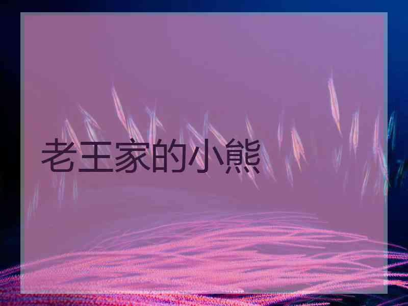 老王家的小熊