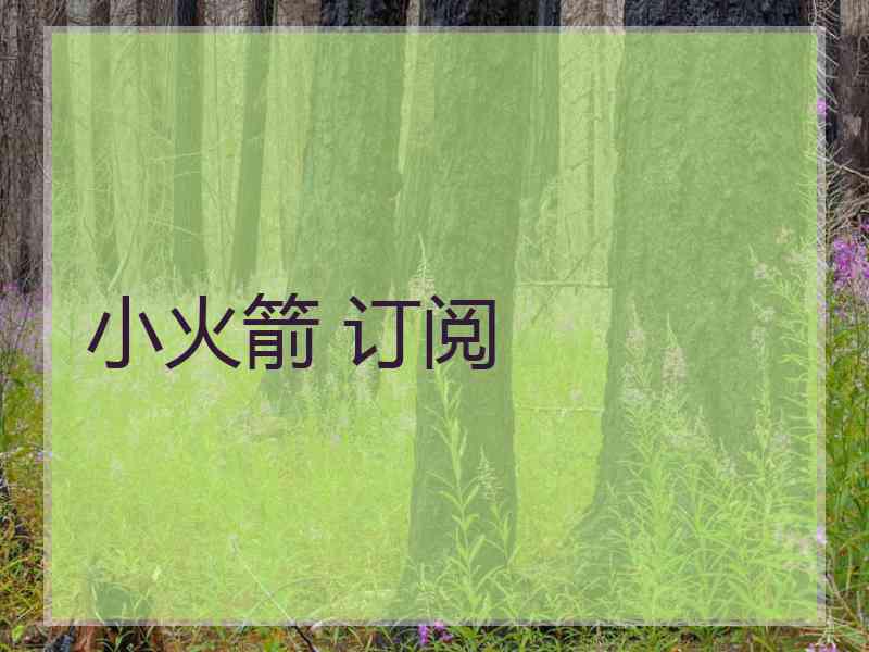 小火箭 订阅