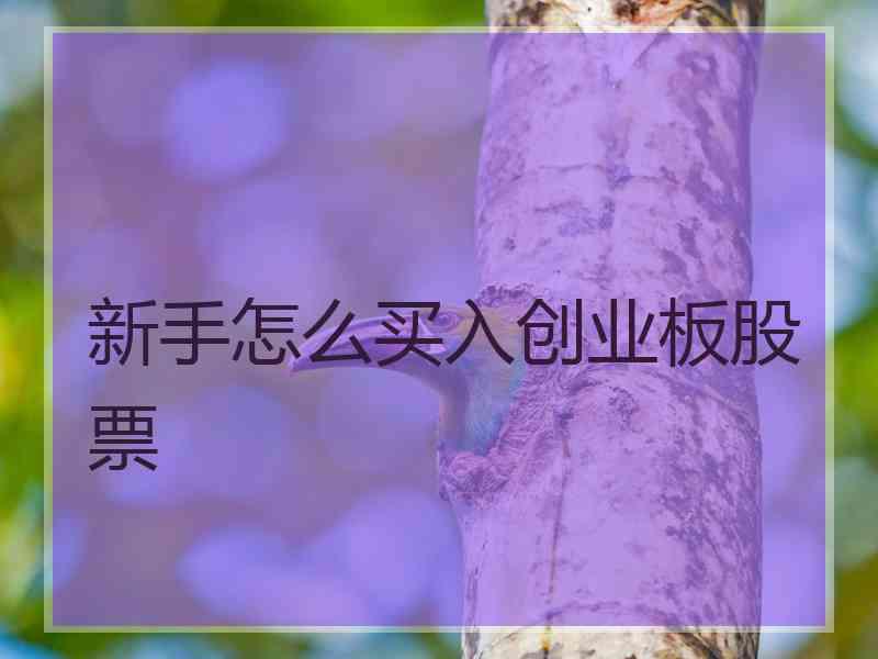 新手怎么买入创业板股票