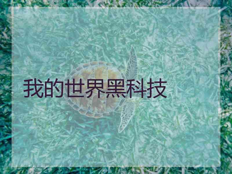 我的世界黑科技