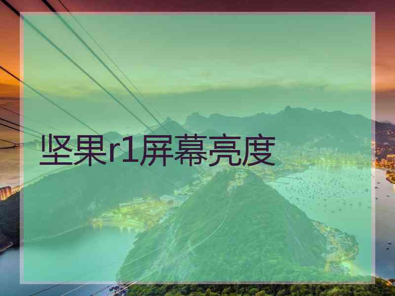 坚果r1屏幕亮度
