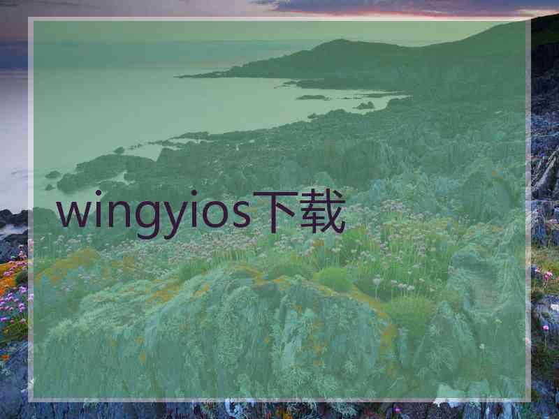 wingyios下载