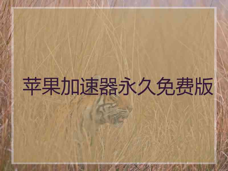 苹果加速器永久免费版