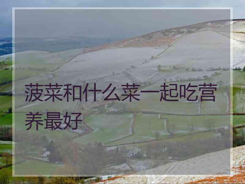 菠菜和什么菜一起吃营养最好