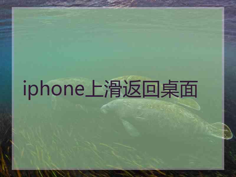 iphone上滑返回桌面