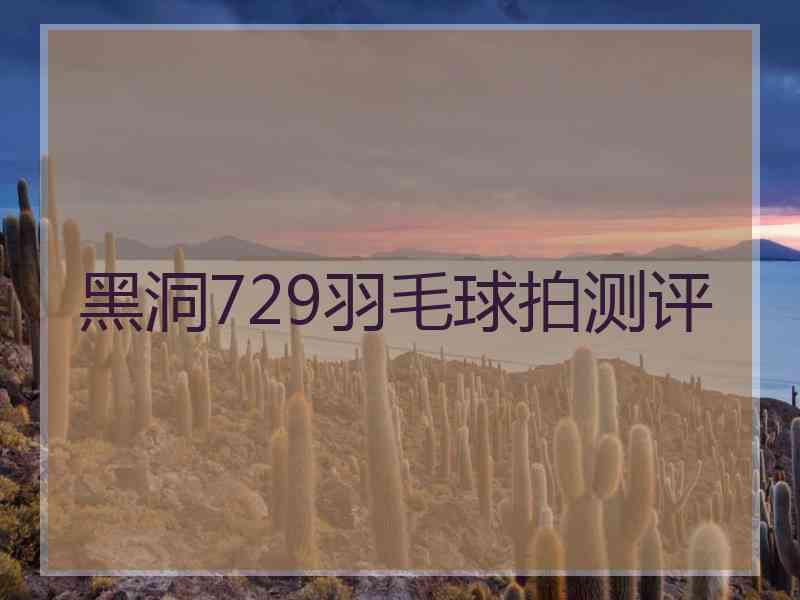 黑洞729羽毛球拍测评