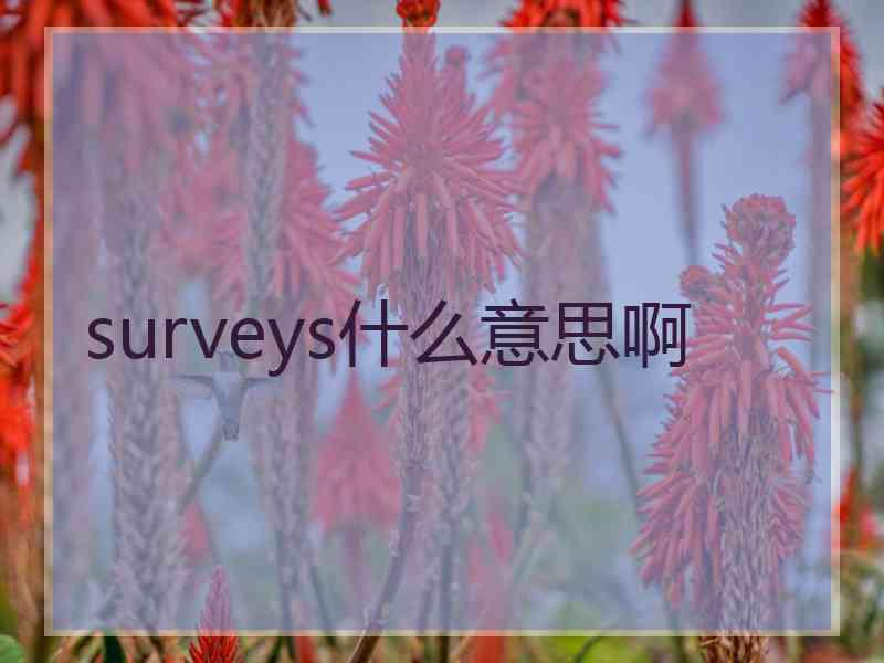 surveys什么意思啊