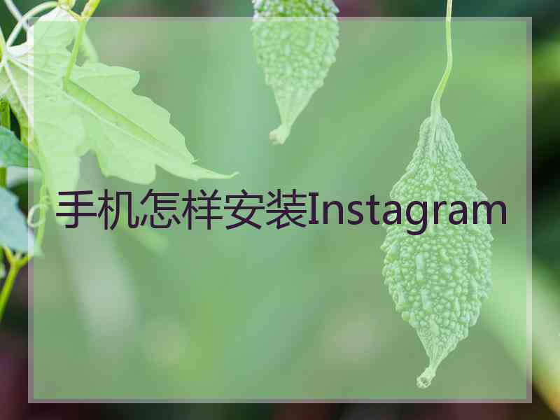 手机怎样安装Instagram