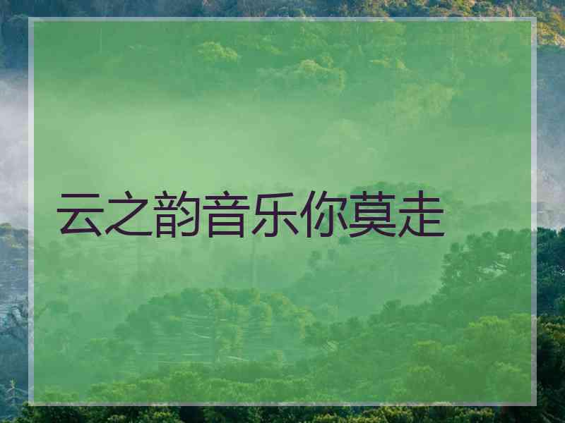云之韵音乐你莫走