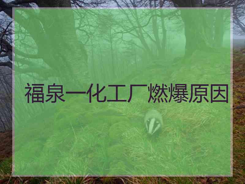 福泉一化工厂燃爆原因