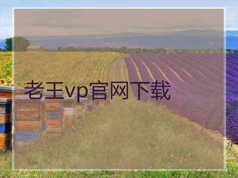 老王vp官网下载