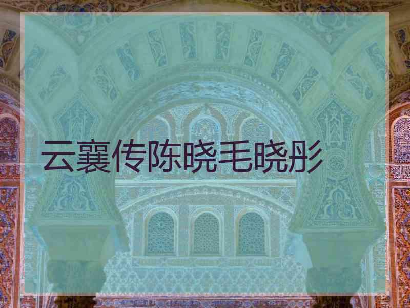 云襄传陈晓毛晓彤