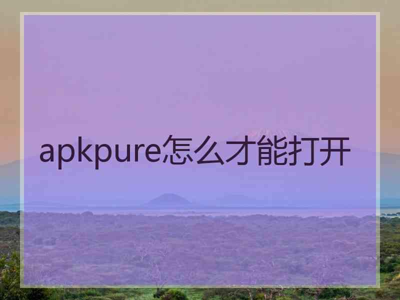 apkpure怎么才能打开