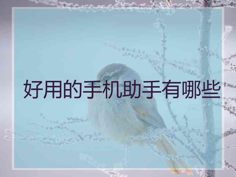 好用的手机助手有哪些