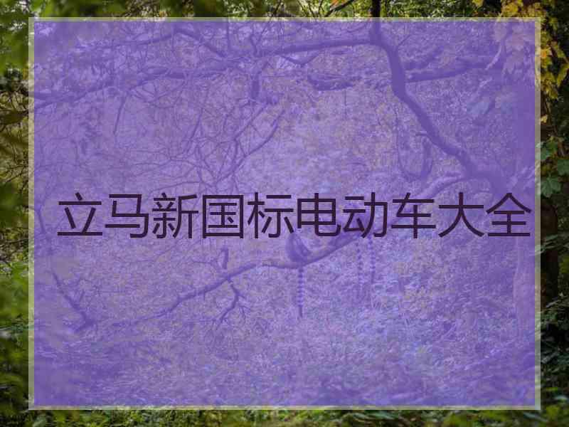 立马新国标电动车大全