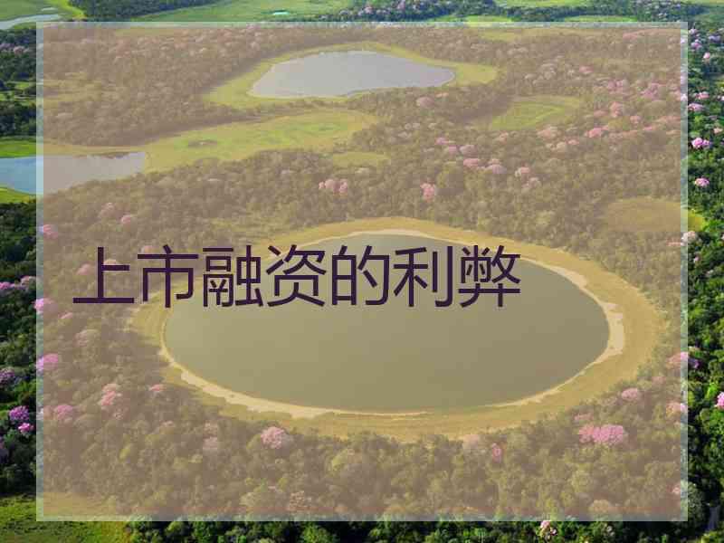 上市融资的利弊