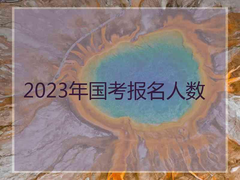 2023年国考报名人数