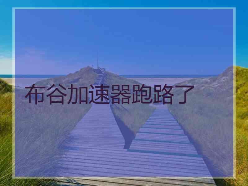 布谷加速器跑路了