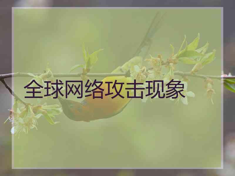 全球网络攻击现象