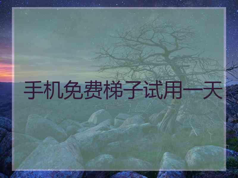 手机免费梯子试用一天