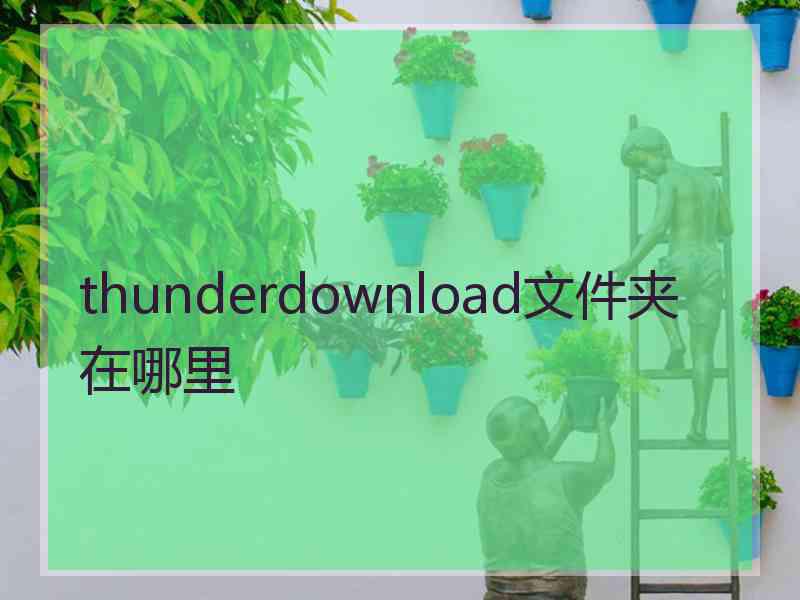 thunderdownload文件夹在哪里