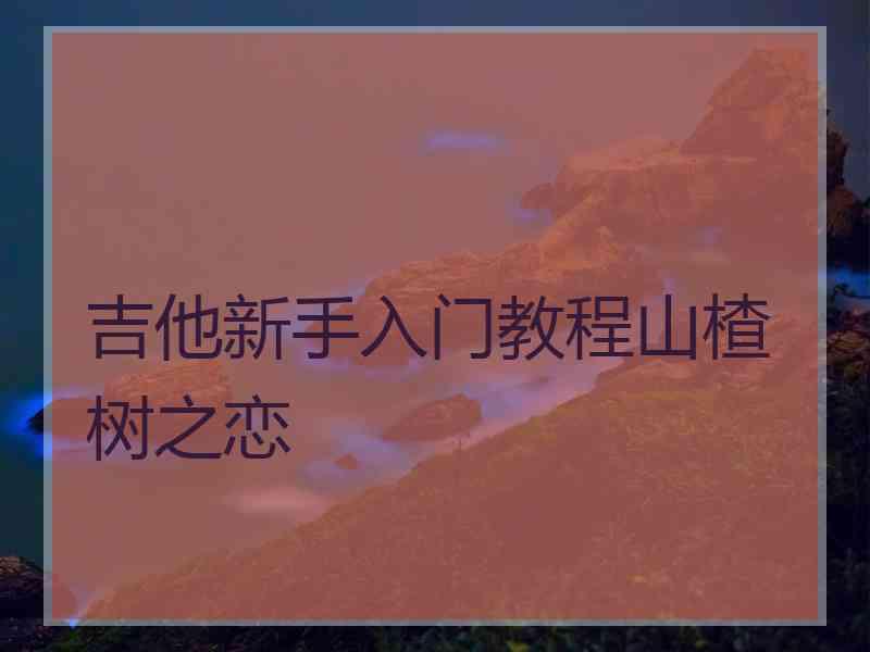 吉他新手入门教程山楂树之恋