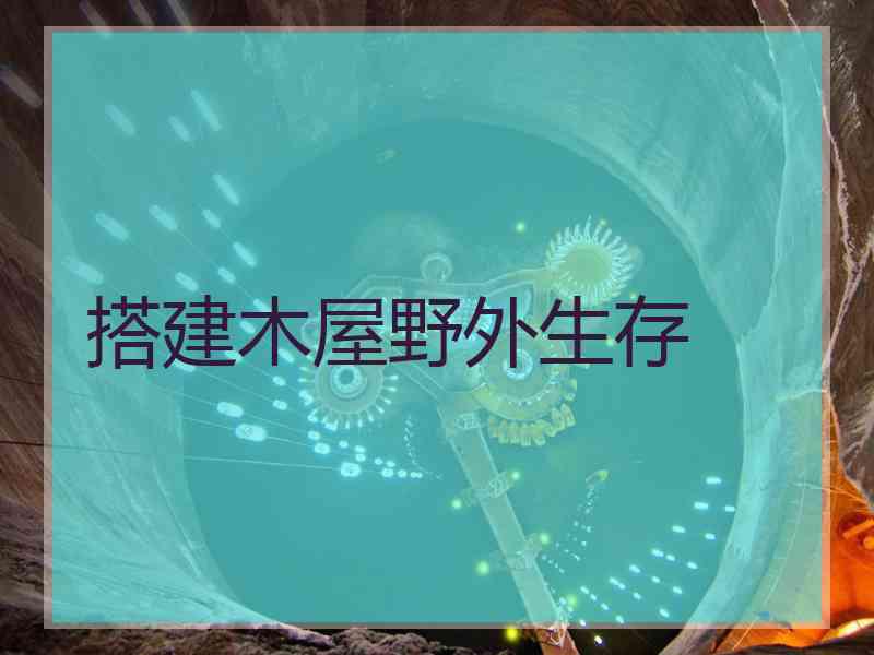 搭建木屋野外生存