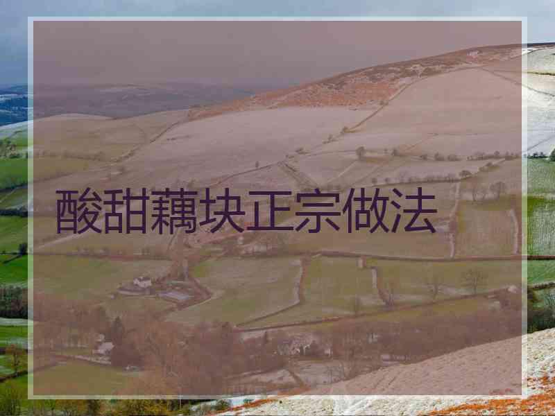 酸甜藕块正宗做法