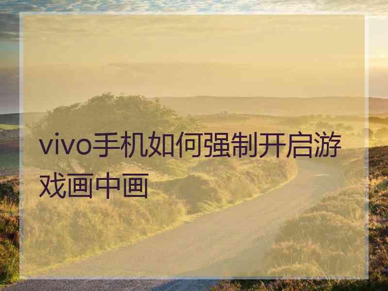 vivo手机如何强制开启游戏画中画