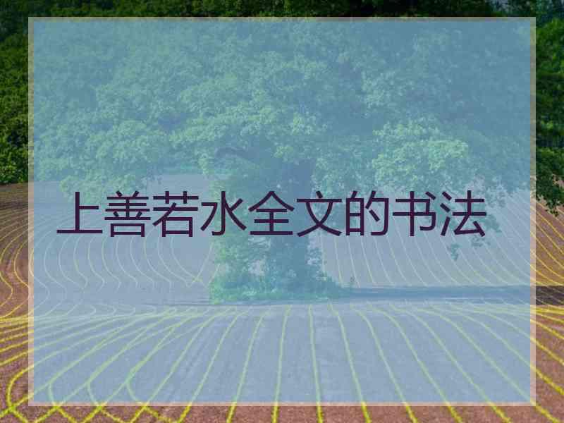 上善若水全文的书法