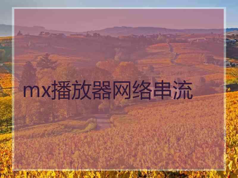 mx播放器网络串流