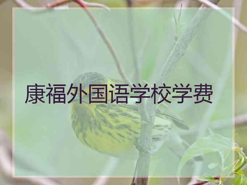 康福外国语学校学费