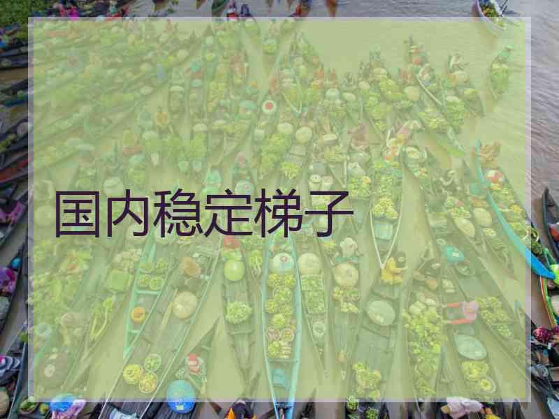 国内稳定梯子