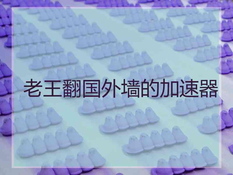 老王翻国外墙的加速器
